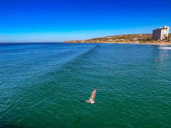 Pazifikstrand San Diego Kalifornien Stockbild