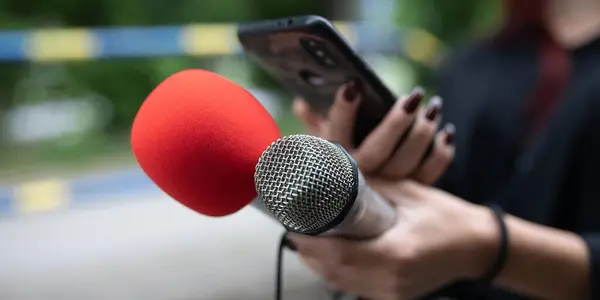 Női Újságíró Sajtókonferencián Feljegyzések Rögzítése Mikrofon Smarthopne Tetvek Diktafon Tartása Jogdíjmentes Stock Fotók