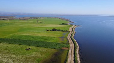 Hava Ameirinhos görünümü, Murtosa, Aveiro, Portekiz Aveiro Lagoon yakınındaki kırsal manzara