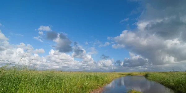 Хмари Тімелапса Над Зеленим Полем — стокове фото