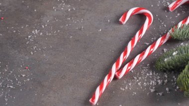 Noel Noel hediyesi, çam kozalakları, çam dalları zemin üzerine kırmızı şeritli köpekler ile arka plan. Noel ve mutlu yeni yıl kompozisyon. Düz yatıyordu, en iyi görünümü