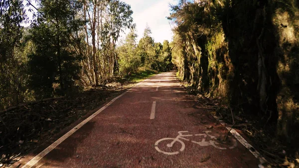 ビューのポイントは ポルトガルのセヴァード ヴォーガで自転車に乗るのショット 自転車道の広い景色と自然景観が特徴です — ストック写真