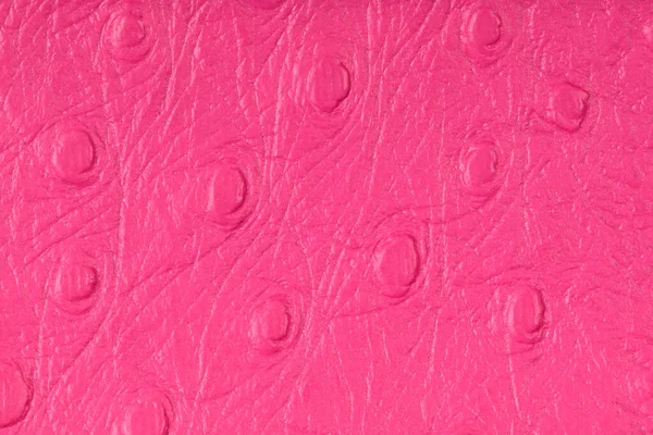 Różowy Skóra Tekstura Zbliżenie Szczegółowe Tło — Zdjęcie stockowe