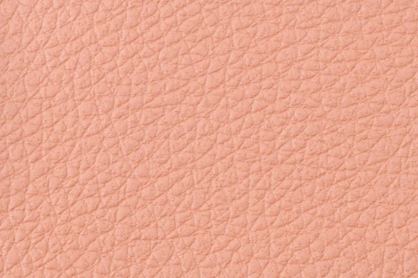 pembe deri dokusu closeup ayrıntılı arka plan.