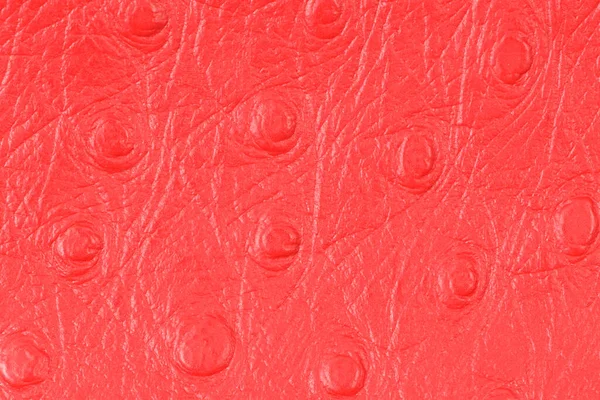 Piros Mesterséges Eather Textúra Háttér — Stock Fotó