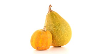 Beyaz arkaplanda kabaklar izole edildi