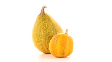 Beyaz arkaplanda kabaklar izole edildi