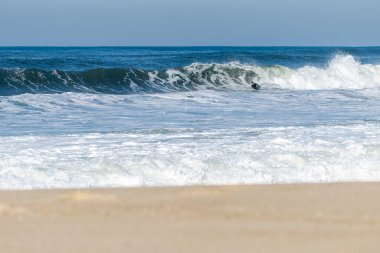 Güneşli bir kış gününde sörf yapan sörfçü..