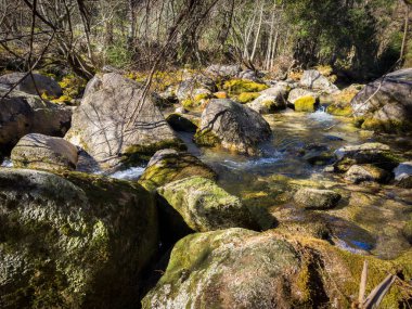 Water stream near Fecha de Barjas waterfall (also known as Tahiti waterfall) in the mountains of Peneda-Geres National Park, Portugal.