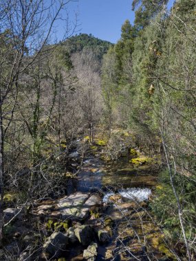 Water stream near Fecha de Barjas waterfall (also known as Tahiti waterfall) in the mountains of Peneda-Geres National Park, Portugal.