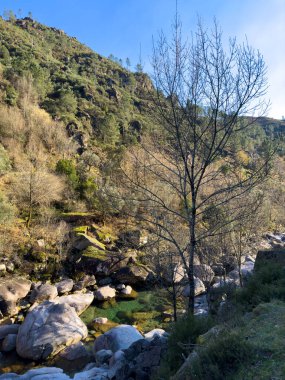 Water stream near Fecha de Barjas waterfall (also known as Tahiti waterfall) in the mountains of Peneda-Geres National Park, Portugal.