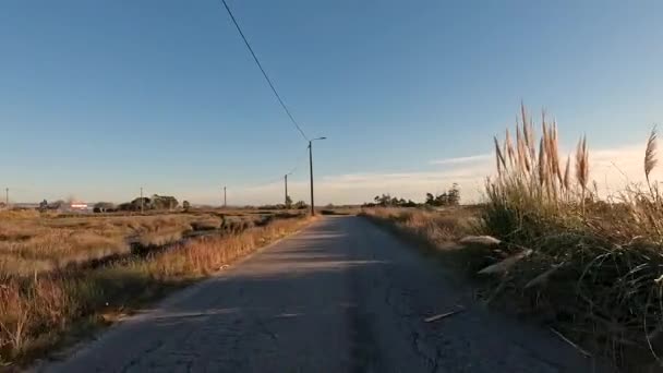 Point View Shot Riding Bicycle Tijosa Ovar Portugal Features Wide — Stock Video