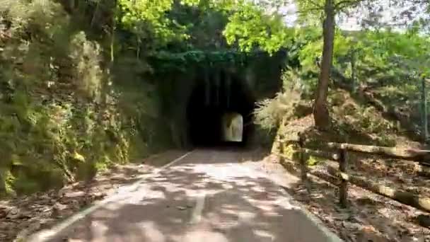 Sever Vouga Portugal Circa April 2023 Точка Зору Стрільби Велосипеді — стокове відео
