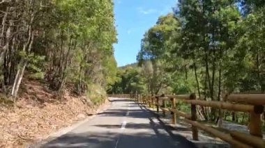 Portekiz, Sever do Vouga 'da bisiklet sürerken çekilmiş bir bakış açısı. Bisiklet pistine ve doğal manzaraya geniş bir açıdan bakıyor..