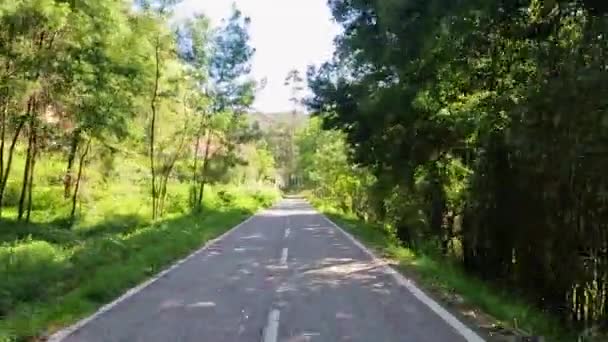 在葡萄牙的Sever Vouga 骑自行车的照片 介绍自行车道和自然景观的全景 — 图库视频影像
