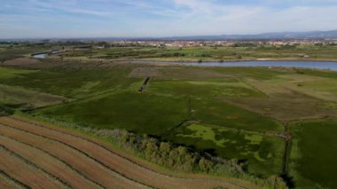 Murtosa, Aveiro, Portekiz 'deki ekili halkların hava manzarası..