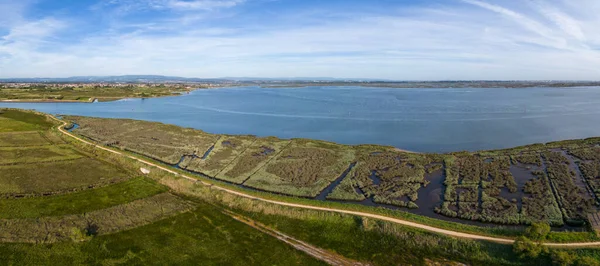 Aerial View Cultivated Fields Estuary Murtosa Aveiro Portugal — Stock Photo, Image