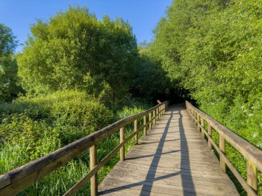Fiaes 'deki tahta patika, Santa Maria da Feira - Portekiz.