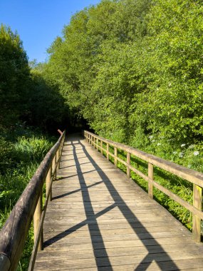 Fiaes 'deki tahta patika, Santa Maria da Feira - Portekiz.