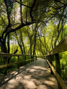 Fiaes 'deki tahta patika, Santa Maria da Feira - Portekiz.