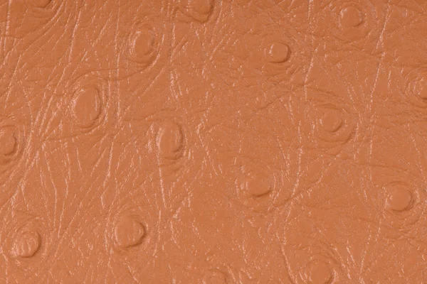 Nahaufnahme Von Detaillierten Braunen Leder Textur Hintergrund — Stockfoto
