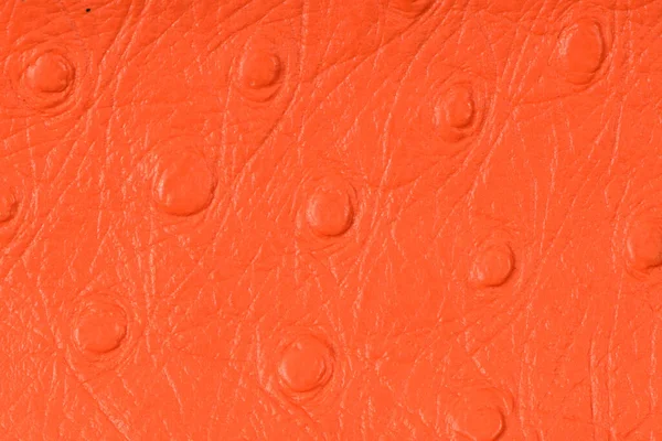 Orange Leather Texture Background — Stock Photo, Image