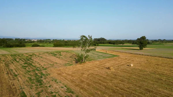 Veduta Aerea Del Paesaggio Rurale Vicino Alla Laguna Aveiro Murtosa — Foto Stock