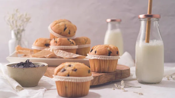 Chocolate Chip Muffins Milk Served Glass Bottles White Kitchen Countertop — 图库照片