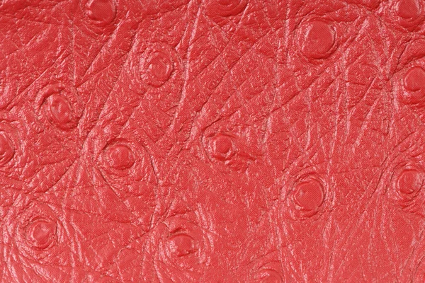 Röd Konstgjord Fjäder Struktur Bakgrund — Stockfoto