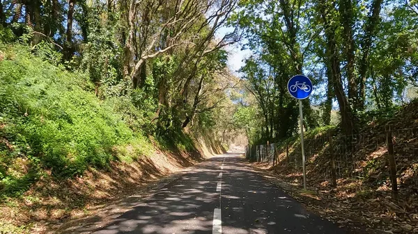 ビューのポイントは ポルトガルのセヴァード ヴォーガで自転車に乗るのショット 自転車道と自然景観の広い景色を眺めることができます — ストック写真