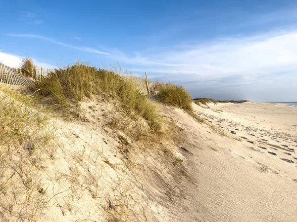 Sanddünen Landschaft Strand Von Furadouro Ovar Portugal — Stockfoto