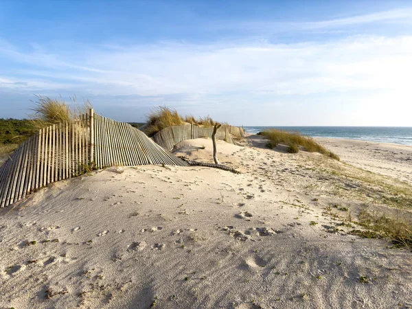 Пейзаж Песчаных Дюн Пляже Фуруру Овар Португалия — стоковое фото