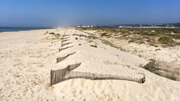 Piaszczystych Wydm Plaży Paramos Mieście Esmoriz Ovar Portugalia — Zdjęcie stockowe