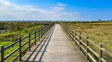 Murtosa, Aveiro, Portekiz 'deki Aveiro Gölü yakınlarındaki kırsal alan manzarası..