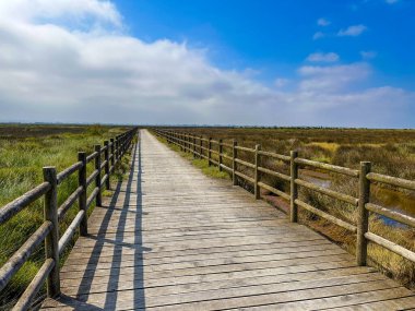 Murtosa, Aveiro, Portekiz 'deki Aveiro Gölü yakınlarındaki kırsal alan manzarası..