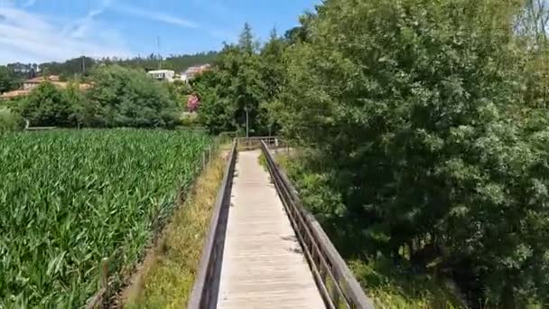 Utsiktsbild Cykling Ecovia Arda Arouca Portugal Har Vidsträckt Utsikt Över — Stockvideo