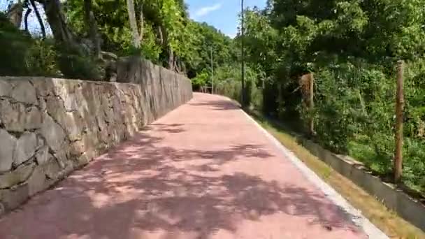 Точка Зору Зйомки Їзди Велосипеді Еовії Арда Аруці Португалія Вид — стокове відео