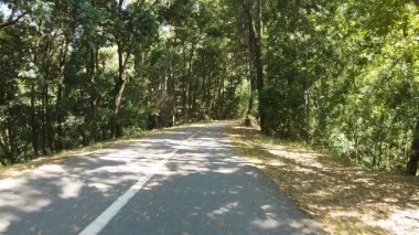 Portekiz 'deki Guimaraes-Fafe Bisiklet Patikası' nda bisiklet sürerken çekilmiş bir bakış açısı. Bisiklet pistine ve doğal manzaraya geniş bir açıdan bakıyor..