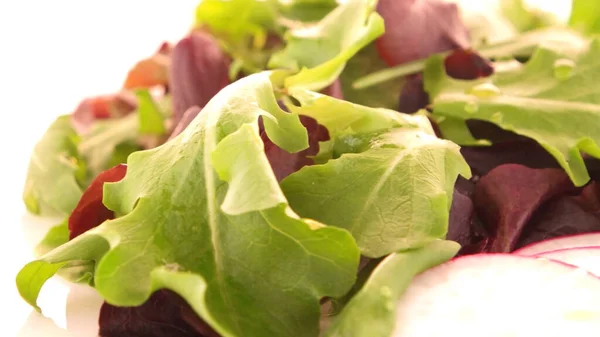 Salatblanding Med Salatsaus Salatsennep Salatsikori Vårsalat Isolert Hvit Bakgrunn – stockfoto