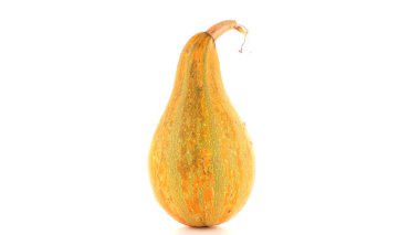 Beyaz arkaplanda kabak izole