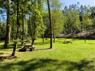 Souto 'daki Parque Fonte do Amieiro Manzarası, Santa Maria da Feira - Portekiz.