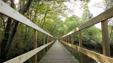 Lagoas de Bertiandos doğal parkındaki tahta patika, Ponte de Lima - Portekiz.