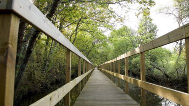 Lagoas de Bertiandos doğal parkındaki tahta patika, Ponte de Lima - Portekiz.