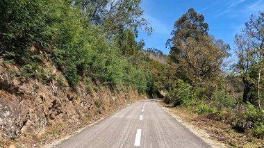 Portekiz, Sever do Vouga 'da bisiklet sürerken çekilmiş bir bakış açısı. Bisiklet pistine ve doğal manzaraya geniş bir açıdan bakıyor..