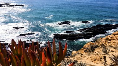 Atlantik Okyanusu kıyısında cliff, Sardao cape (Cabo Sardao) Alentejo Portekiz.