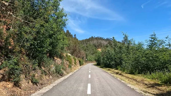 Utsiktsbild Cykling Sever Vouga Portugal Har Vidsträckt Utsikt Över Cykelbanan — Stockfoto