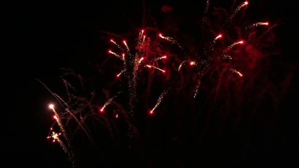 Beautiful Fireworks Show Dark Night Sky — Stock Photo, Image