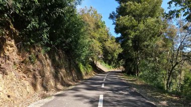 Portekiz, Sever do Vouga 'da bisiklet sürerken çekilmiş bir bakış açısı. Bisiklet pistine ve doğal manzaraya geniş bir açıdan bakıyor..
