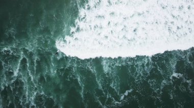 Dalış elbisesi, giyen genç sörfçü kız bir sabah sörf oturum dalgalar için aradığınız.