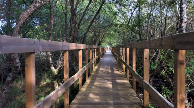 Lagoas de Bertiandos doğal parkındaki tahta patika, Ponte de Lima - Portekiz.